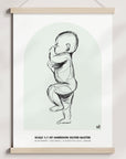 NEW 2023 - 1:1 Scale Arch Birth Poster - Personalised Poster - The Willow Corner