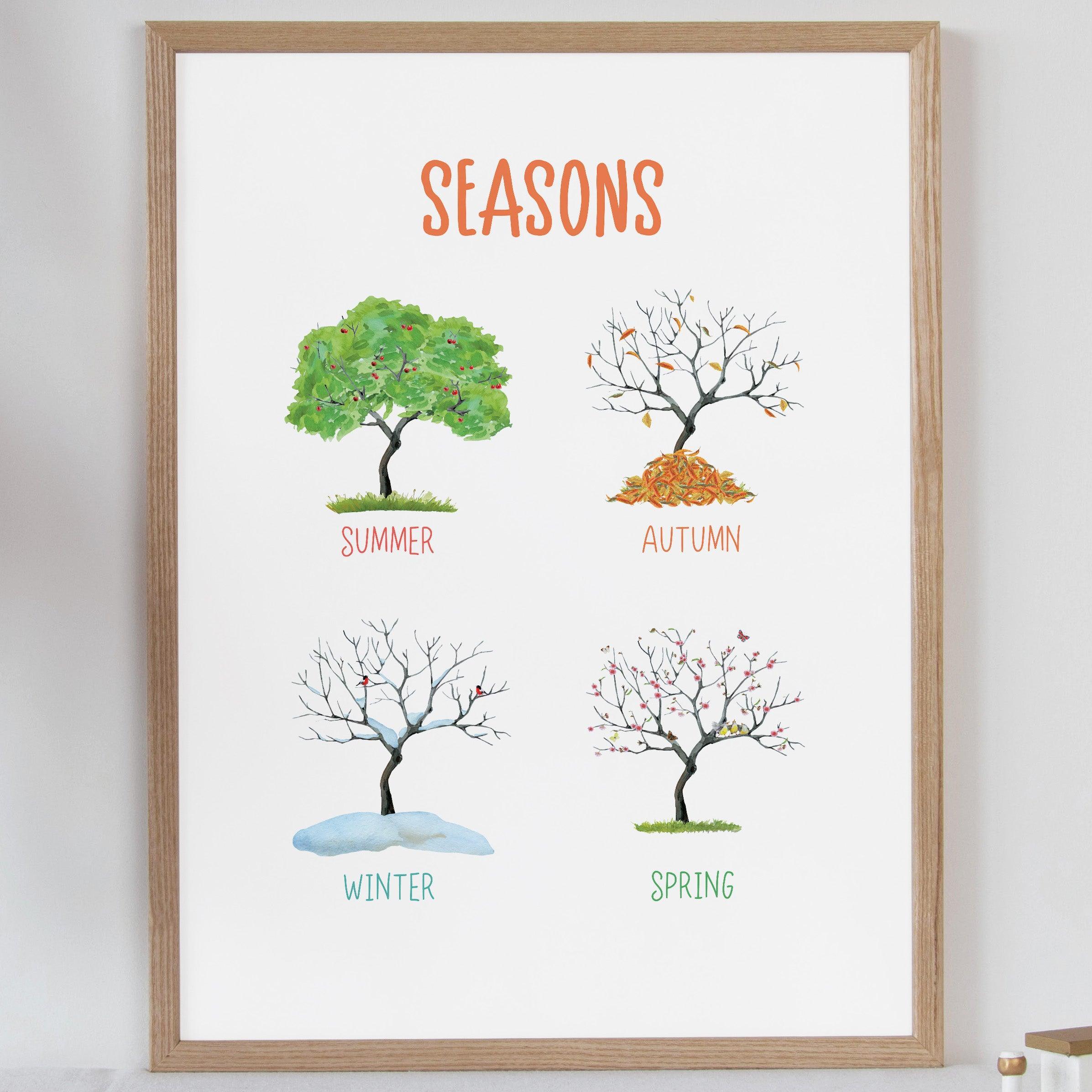 Seasons - Bright Tones - Educational Print Series - Poster - The Willow Corner
